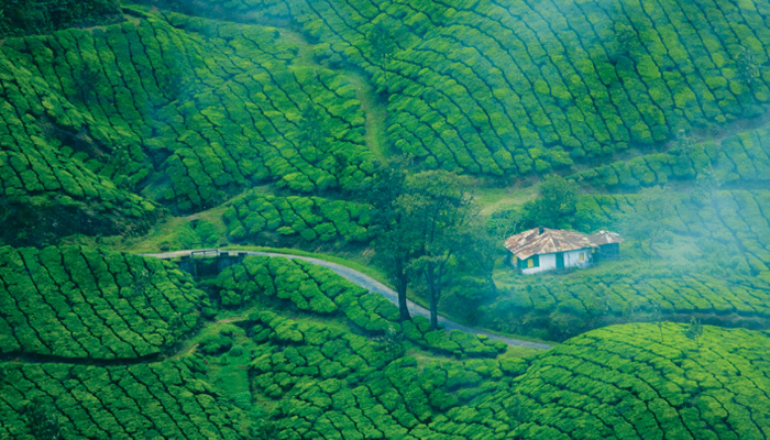 Munnar