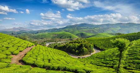 Munnar packages