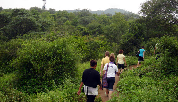 Trekking in Munnar